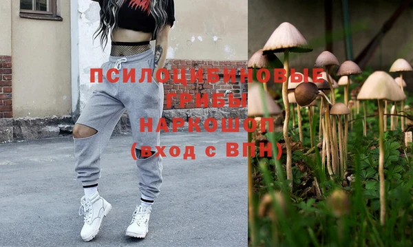 стафф Абдулино