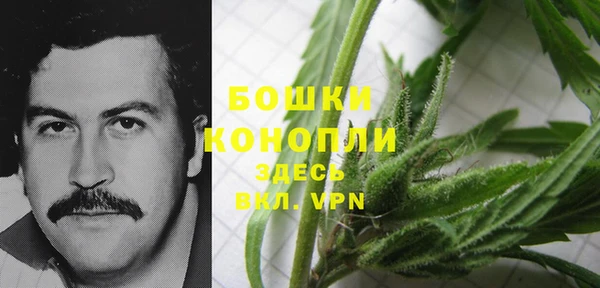 стафф Абдулино