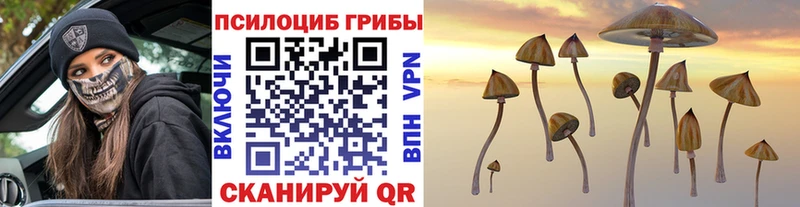 Галлюциногенные грибы Magic Shrooms  Трубчевск 